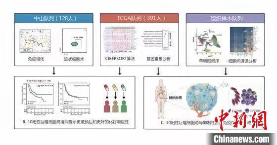 中国专家大样本、多中心研究获得新发现助实现膀胱癌精准治疗