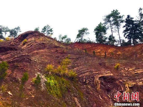 江西武宁志留系下红层清水组野外剖面。 盖志琨 摄