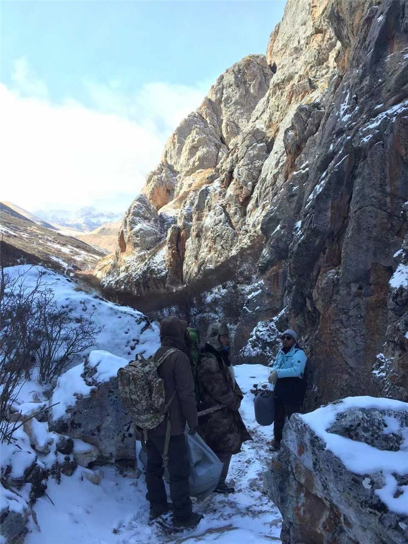 拍摄团队历时10年寻找雪豹甘肃这部纪录片登央视