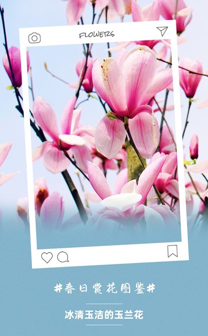 芙蓉镇双世度假区「春日赏花图鉴」请查收！