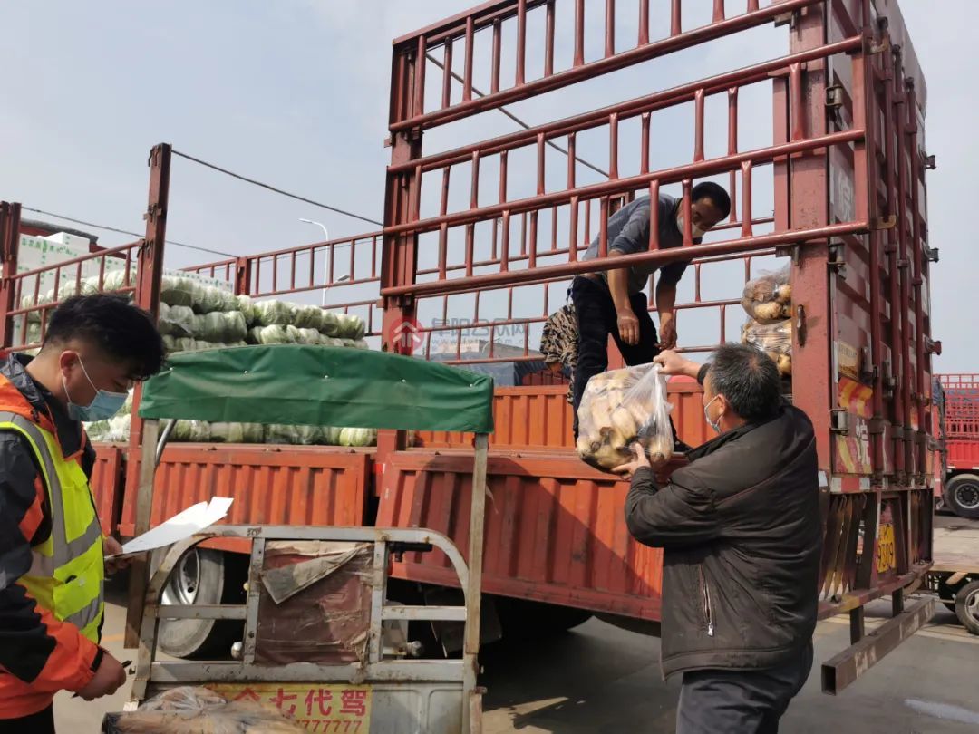 预先分拣打包 抵沪后可直接分发 襄阳160吨蔬菜支援上海 - 湖北省人民政府门户网站