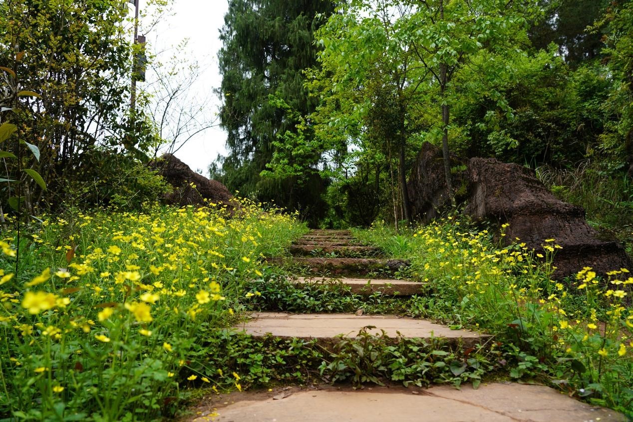 芙蓉镇双世度假区「春日赏花图鉴」请查收！