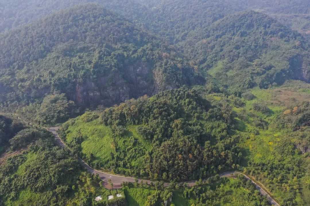 经过生态修复后的九龙坡区中梁山绿意盎然 刘潺 摄