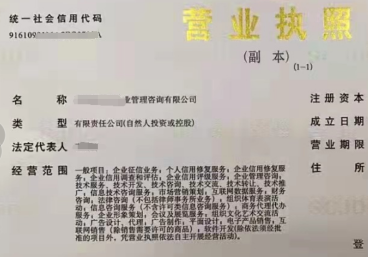 图片来源:记者截图