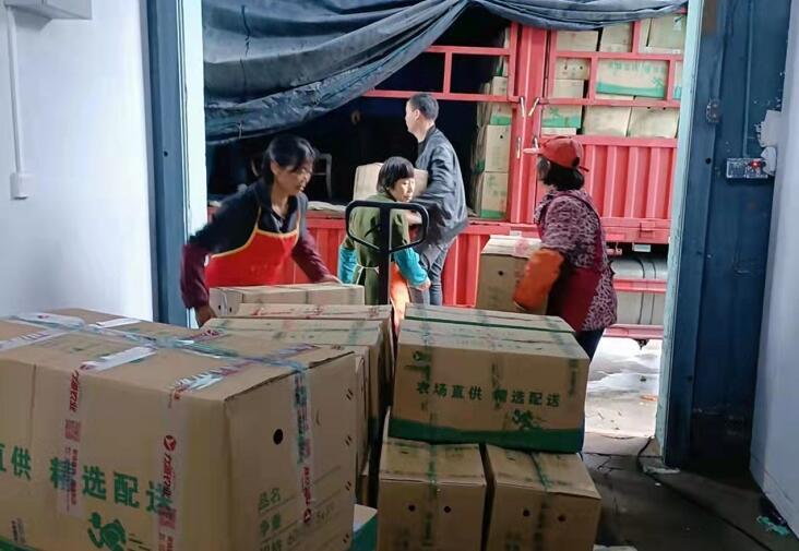 江西省红十字基金会：20吨爱心蔬菜驰援上海