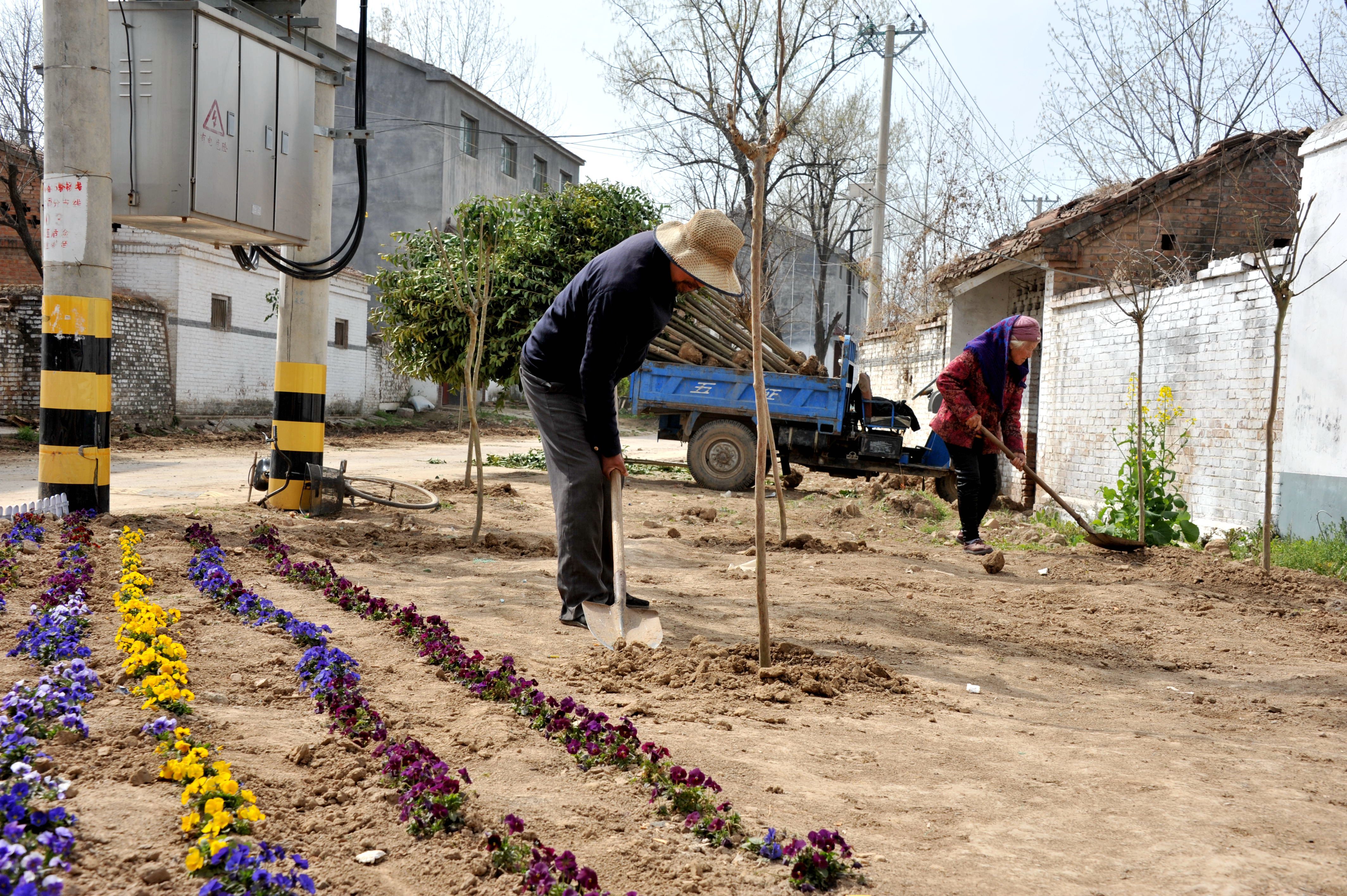 夏邑杨集镇陈古洞村村民携手共创建村庄旧貌换新颜