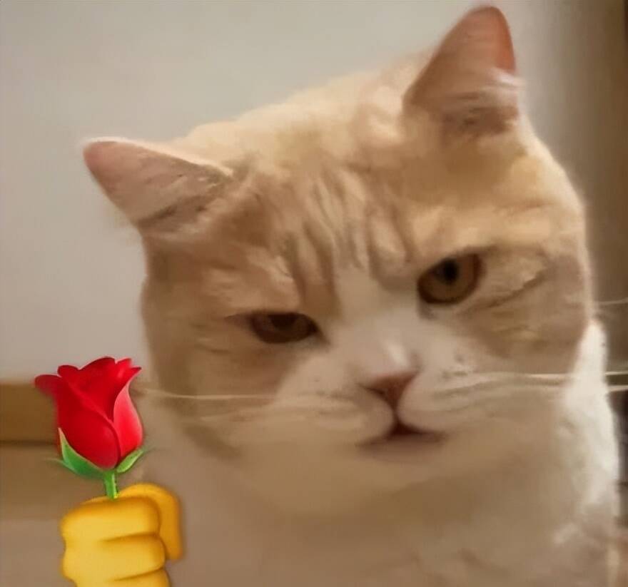 红蓝光治疗仪怎么使用考古《指环王》里的“精灵公主”丽芙·泰勒，美得惊艳！_https://www.jmylbn.com_新闻资讯_第5张