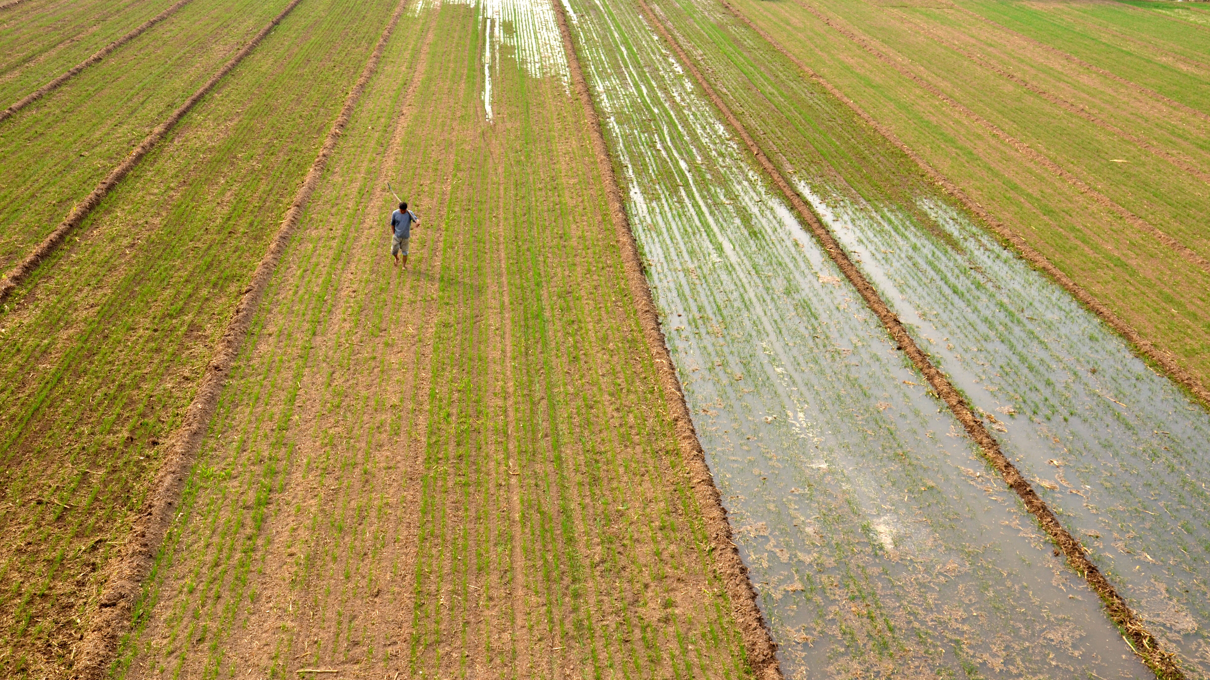 德州市春灌引水15亿立方米冬小麦灌溉有序开展