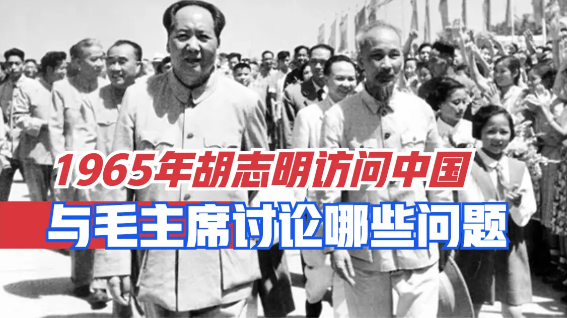 1965年胡志明访问中国，他与毛主席讨论了哪些问题？