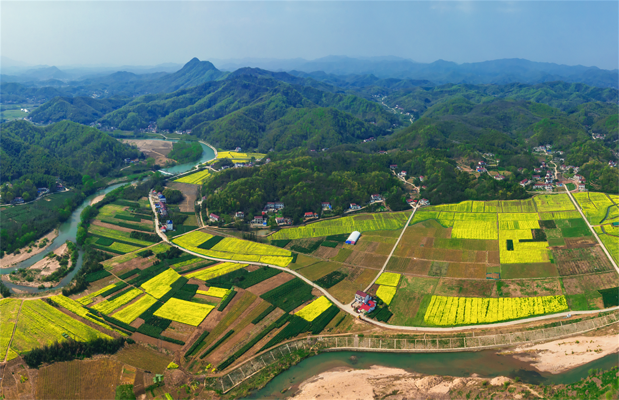 安徽霍山千亩油菜花盛妆迎客来