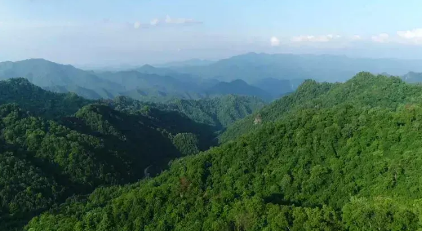 秦巴山区(陕西省林业局供图)