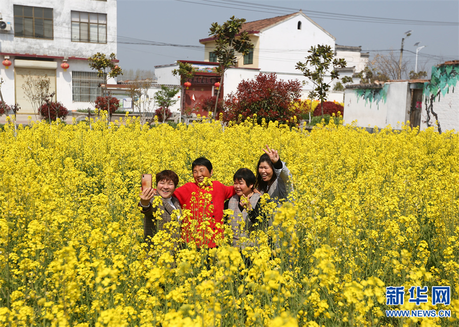 河南夏邑：改善人居环境 扮靓美丽乡村