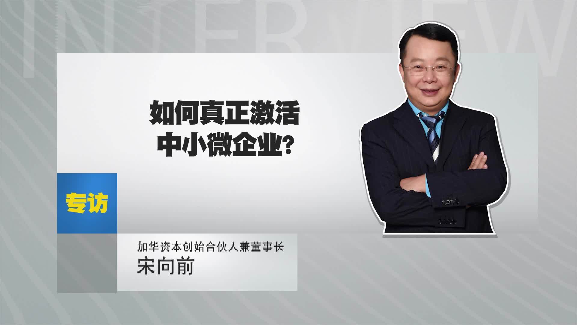 宋向前：如何真正激活中小微企业？
