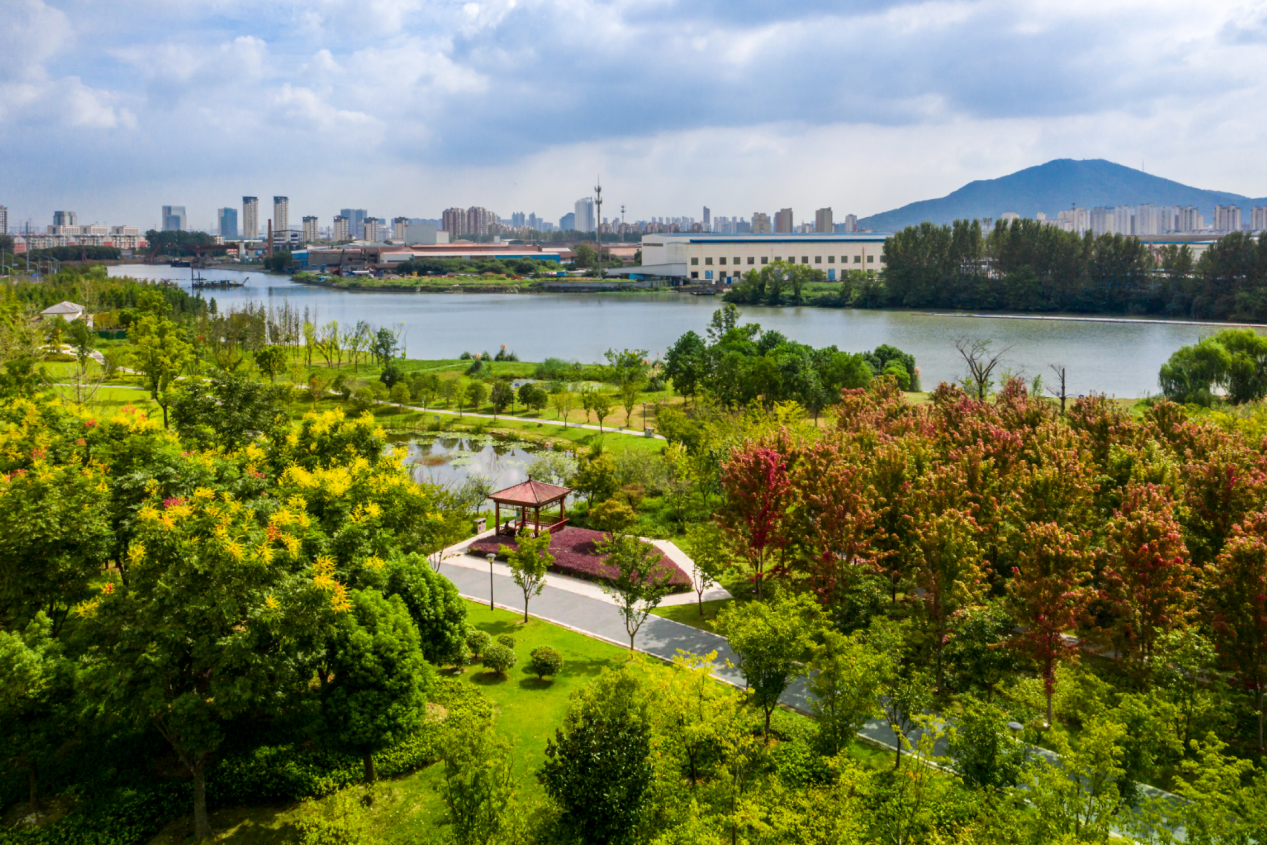 5万平方米,是钱桥街道珍贵的"绿肺".