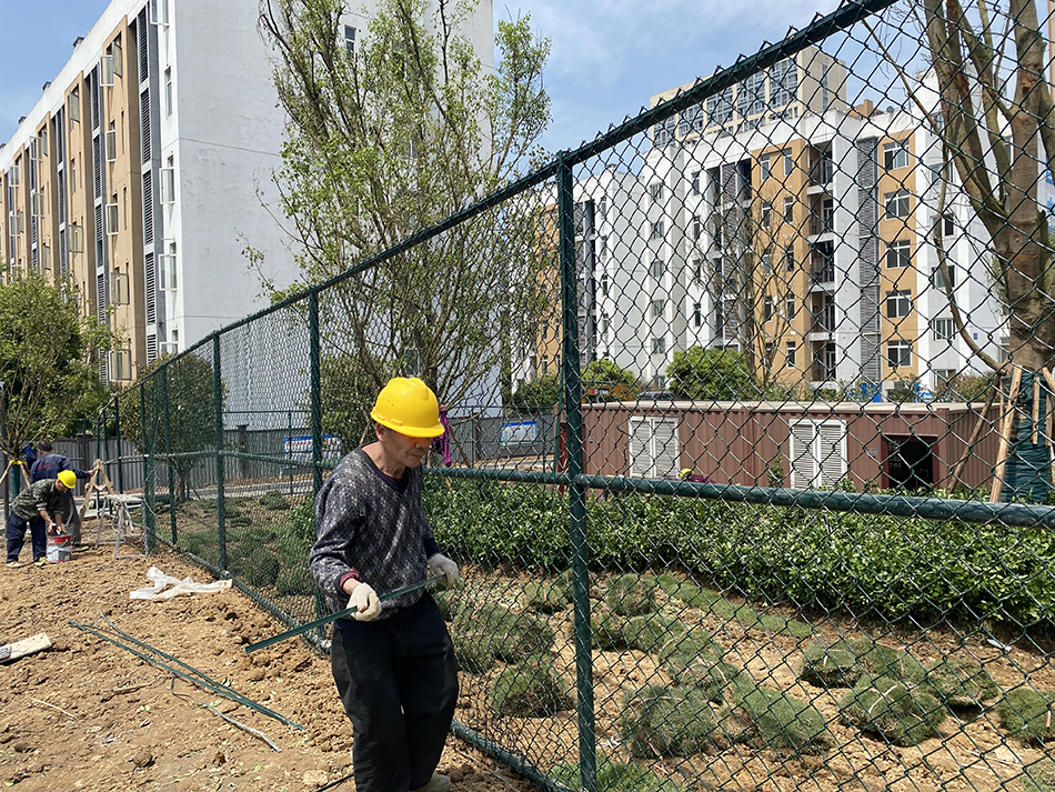 澎湃新闻实地探访发现,网友网传地点位于璧山区璧城街道大塘村苏家寨
