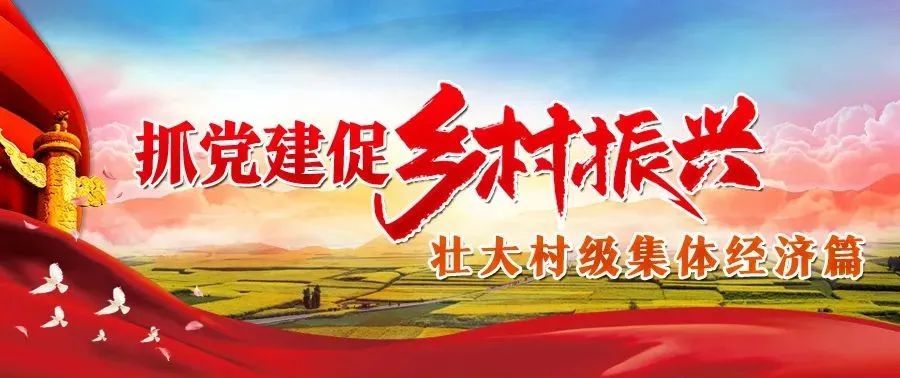 冷水江市:多措并举发展壮大村级集体经济