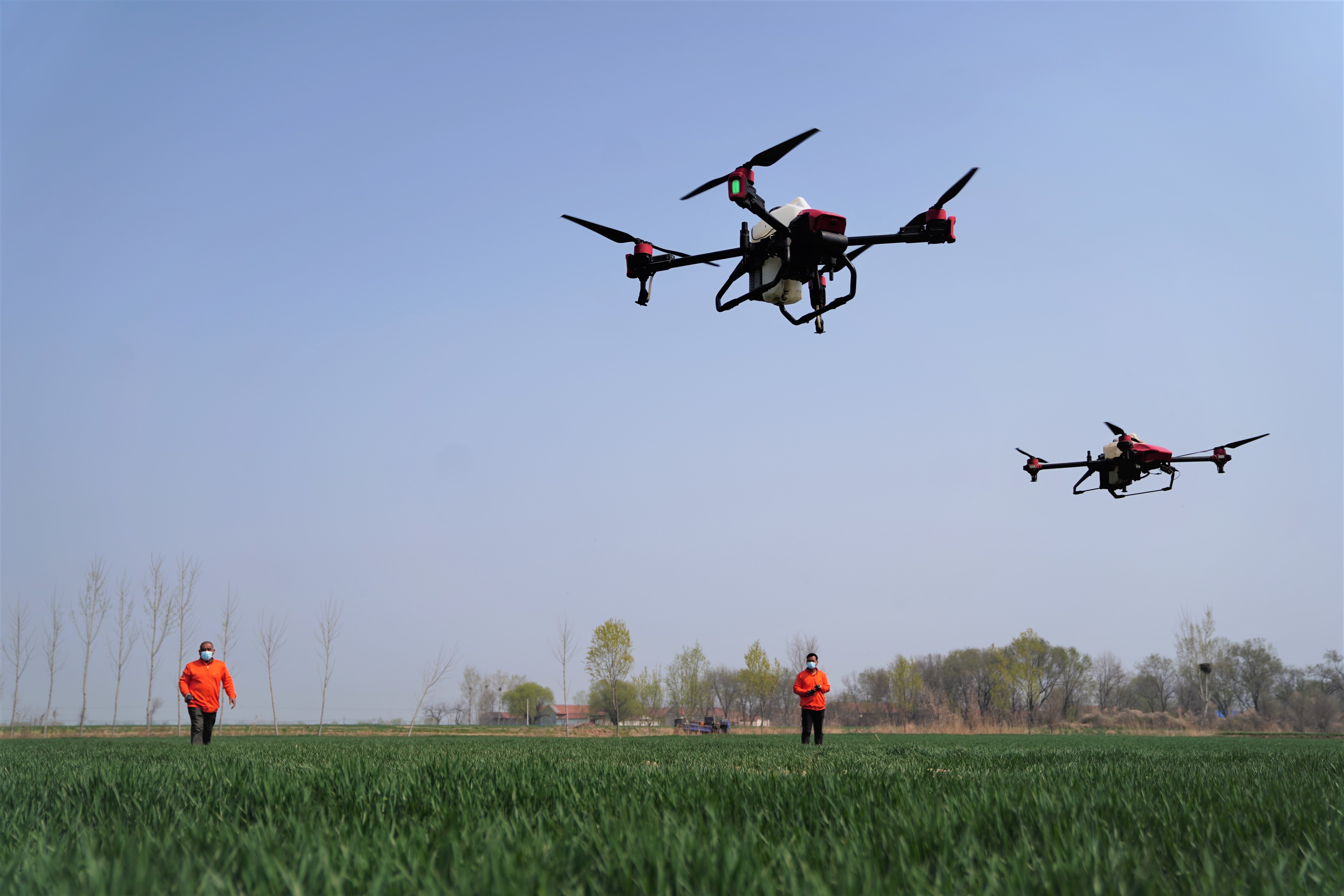 山东乐陵：智慧春管护航“吨半粮”生产
