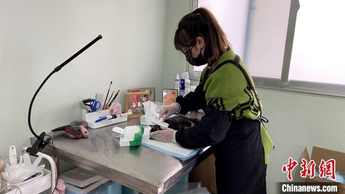 “90后”宠物殡葬师在清理宠物身体。　孙婷婷 摄