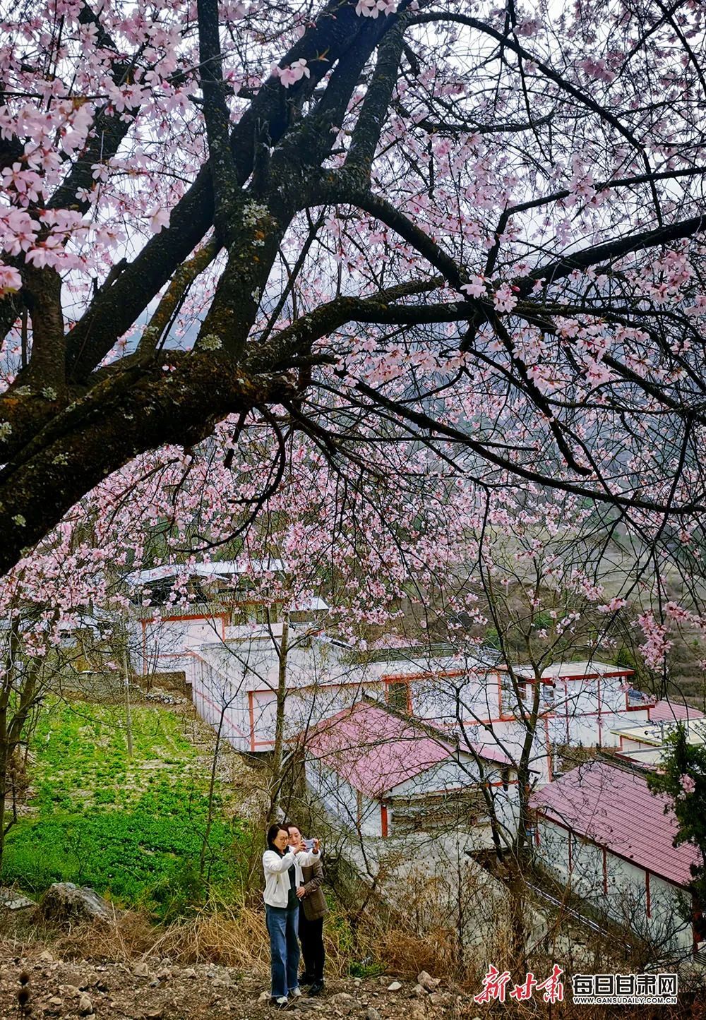 趁春光正盛，一起向美好出发吧