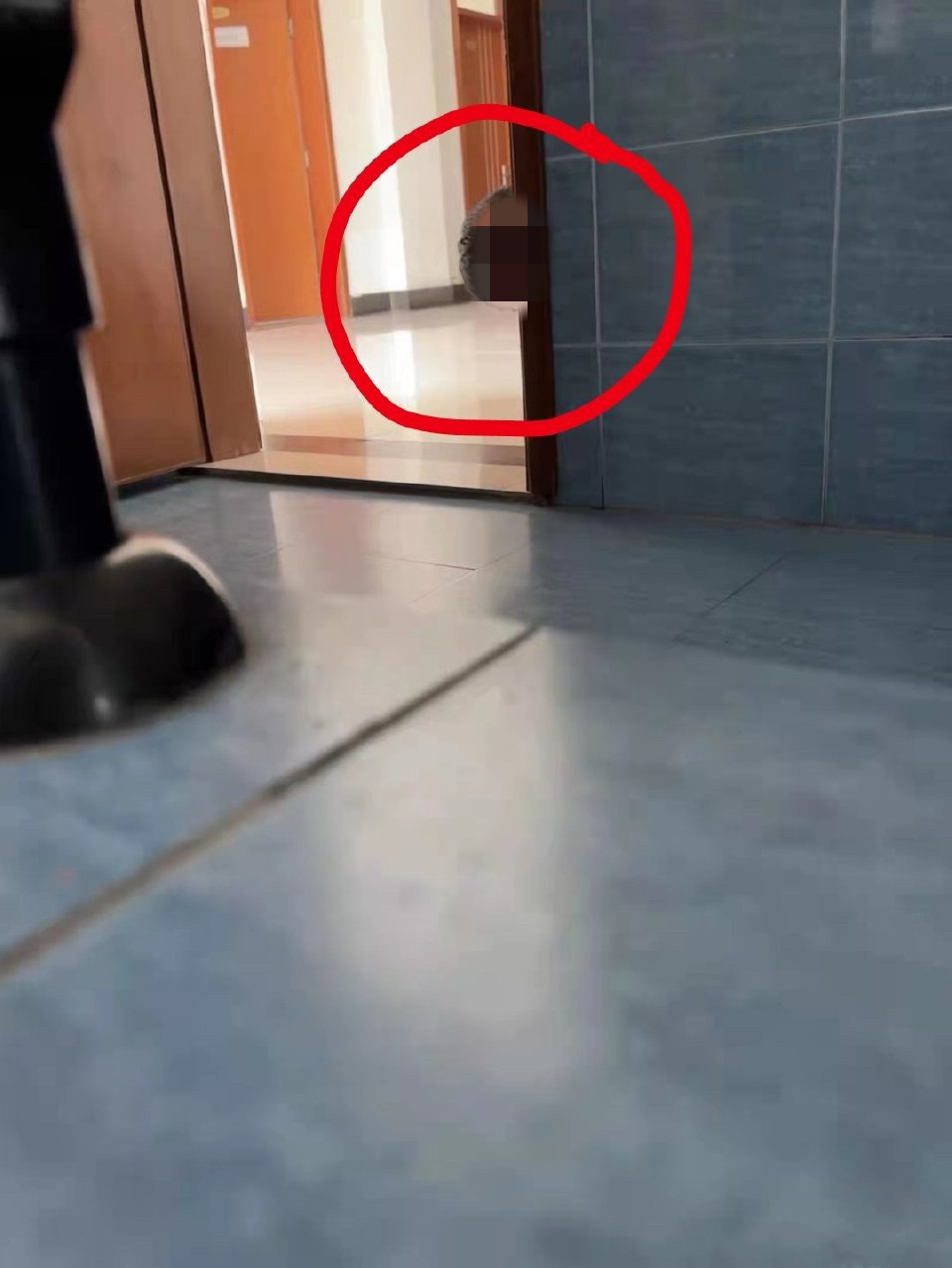 △网上流传的南信大男老师偷窥女厕的图片