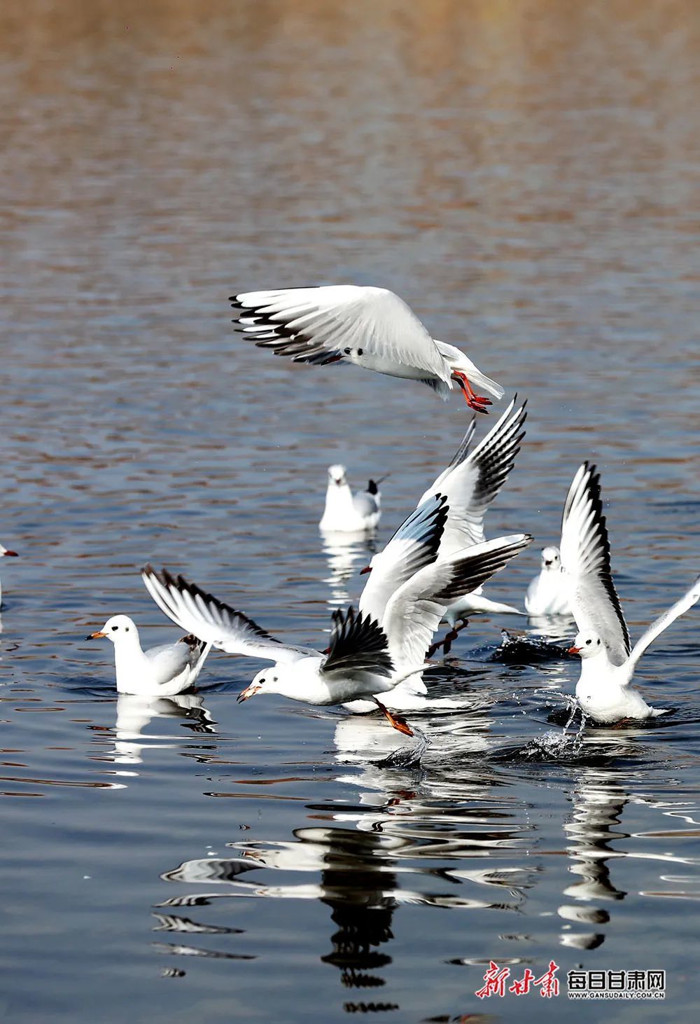 趁春光正盛，一起向美好出发吧