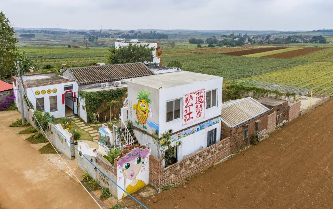 俯瞰徐闻曲界镇军村"菠萝公社". 张锋锋 摄