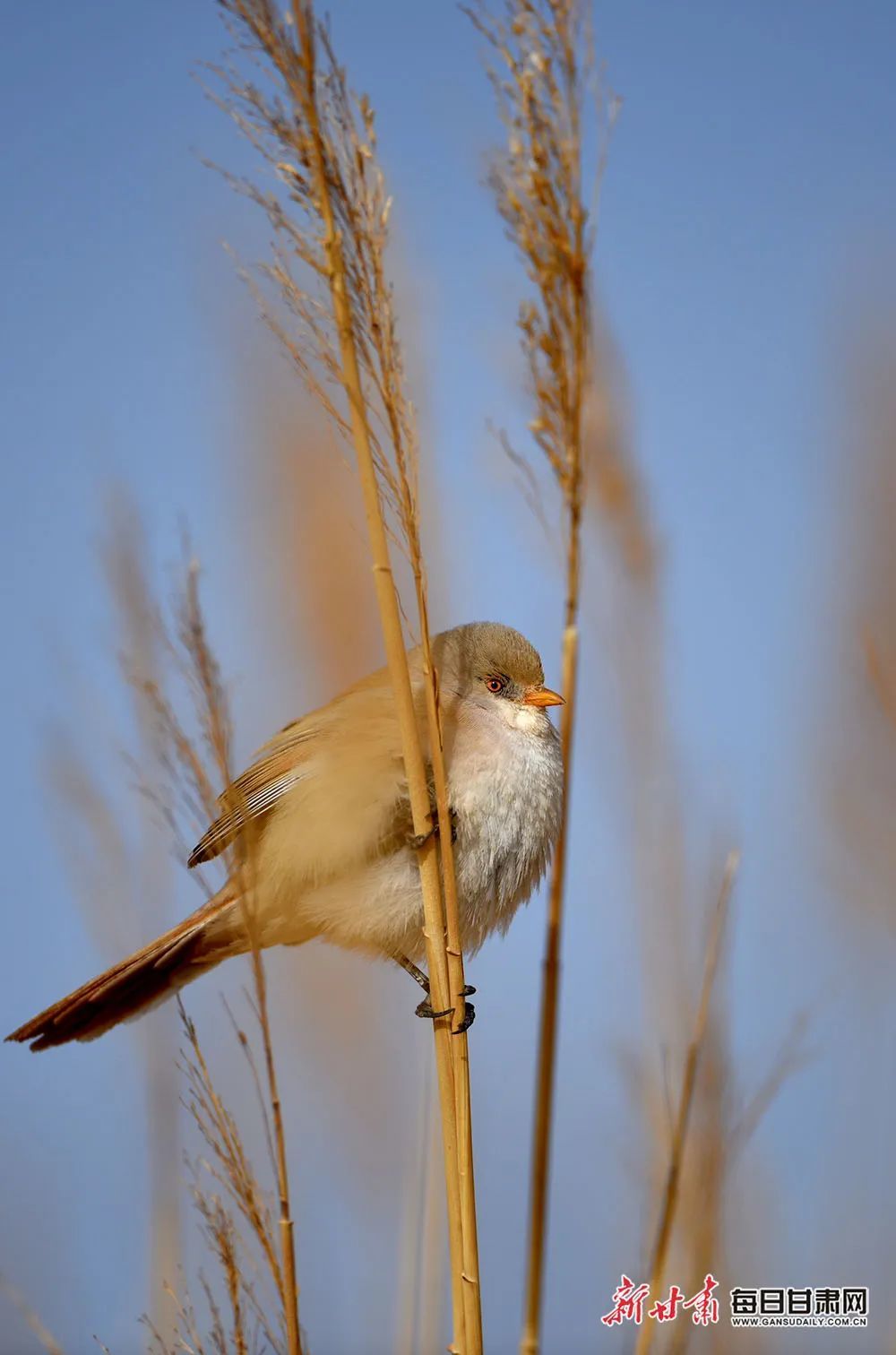 趁春光正盛，一起向美好出发吧