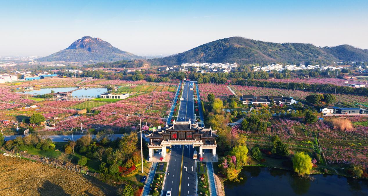 无锡阳山桃花源地图图片