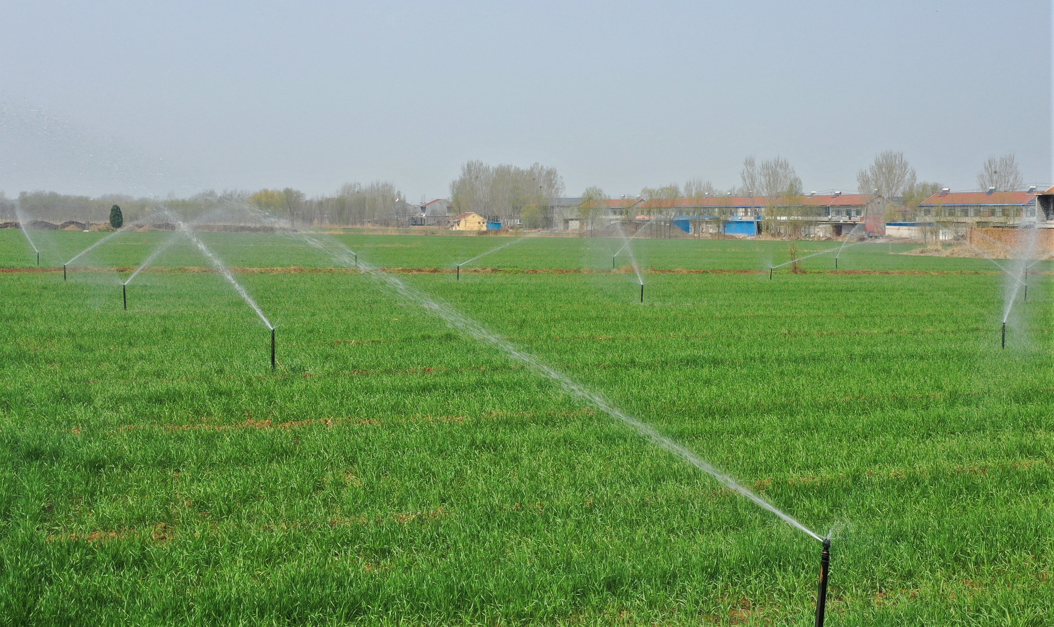 山东乐陵：智慧春管护航“吨半粮”生产