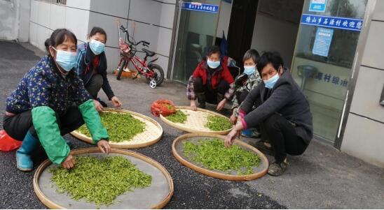 塘山乡采茶归来的脱贫群众