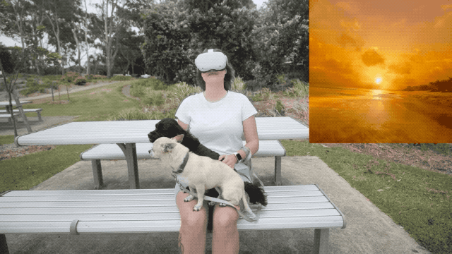 博主体验戴VR眼镜在元宇宙生活一天：遛完狗，“瞬移”去海滩看场唯美日落