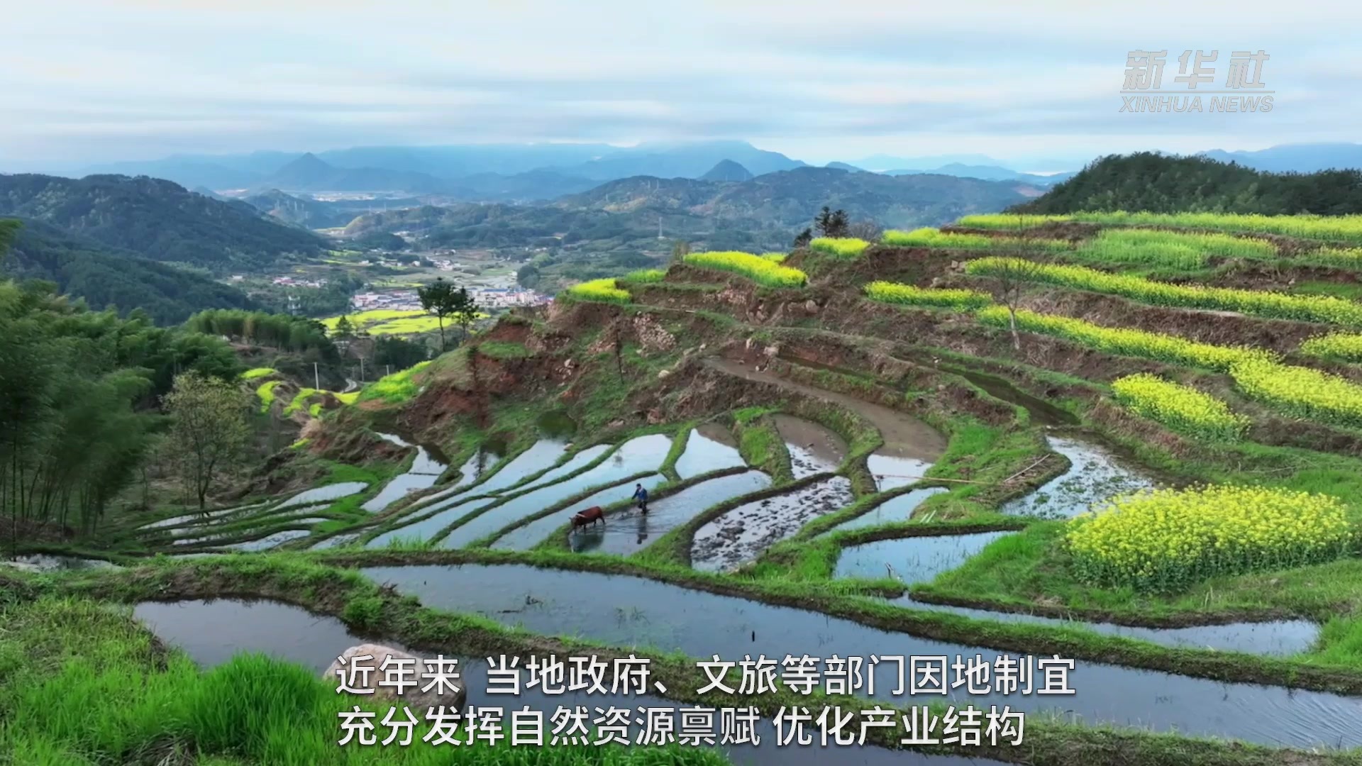 梯田遇上油菜花 漫山春色惹人醉