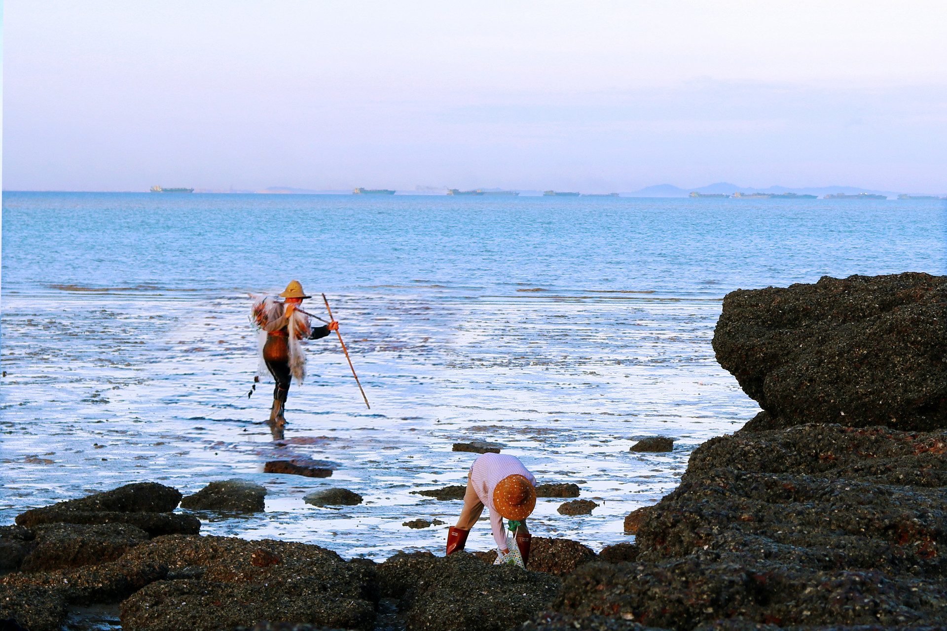 享受假期时光 游客在城阳区红岛休闲渔村赶海拾贝