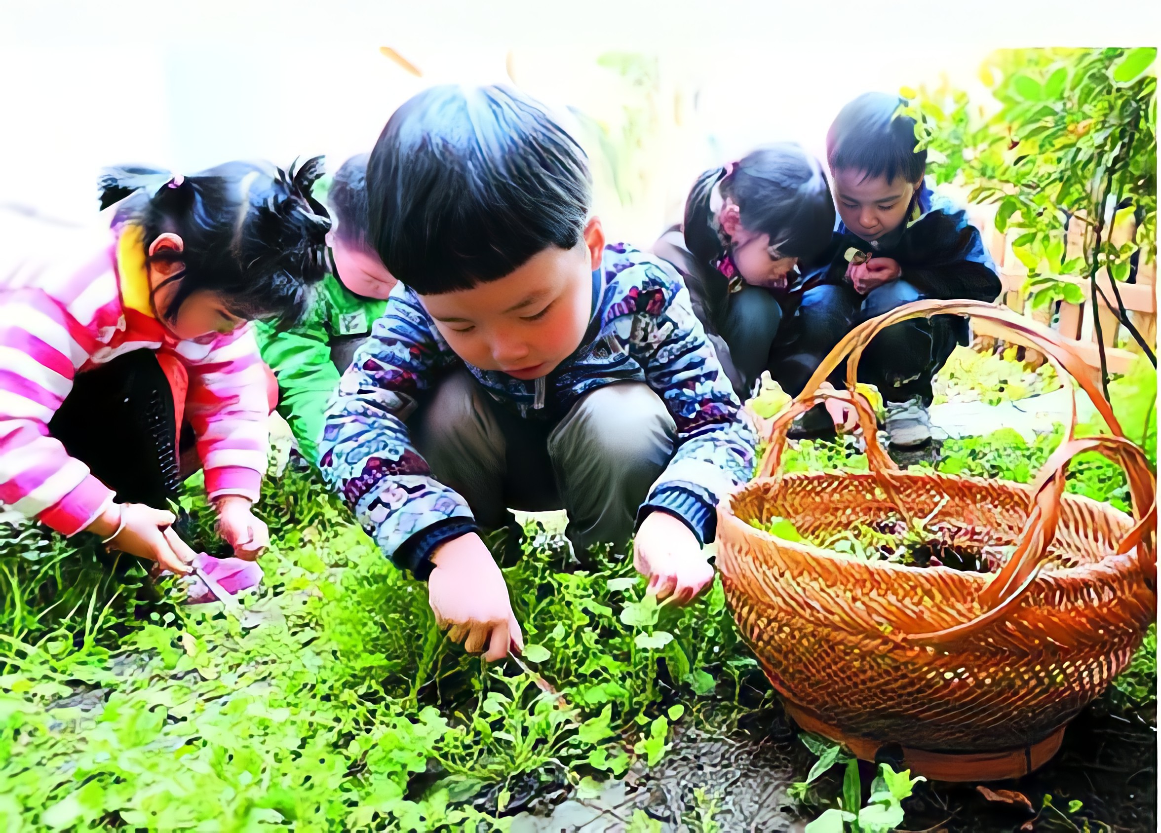 把“春天”吃到肚子里 那抹翠绿拨动记忆的涟漪