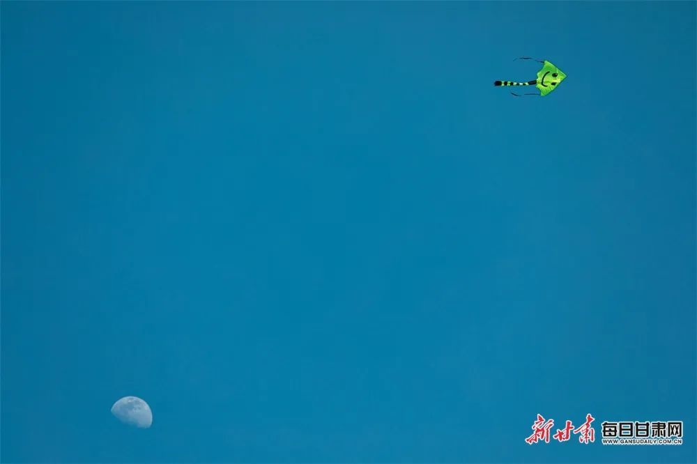 趁春光正盛，一起向美好出发吧