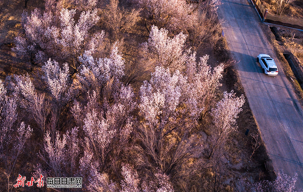 趁春光正盛，一起向美好出发吧