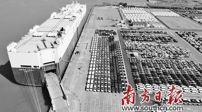 在南沙汽车口岸，出口汽车等待装船。广州海关供图