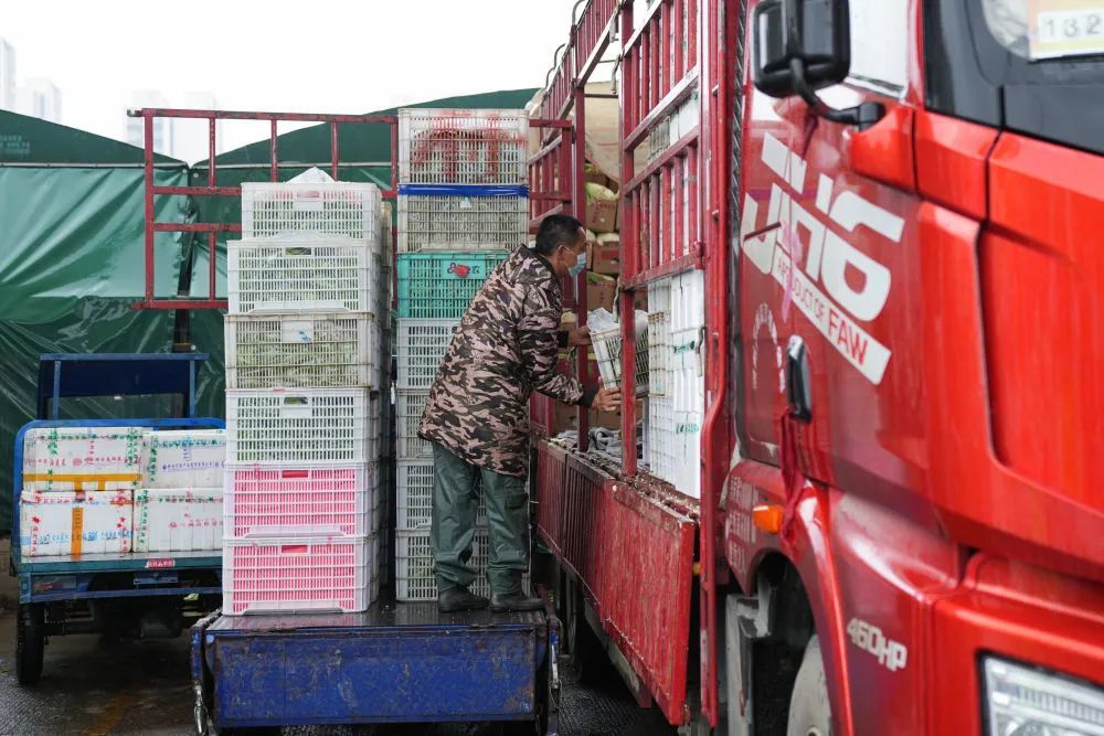 4月13日,在合肥百大周谷堆大兴农产品物流园,一辆货车在进行果蔬装车