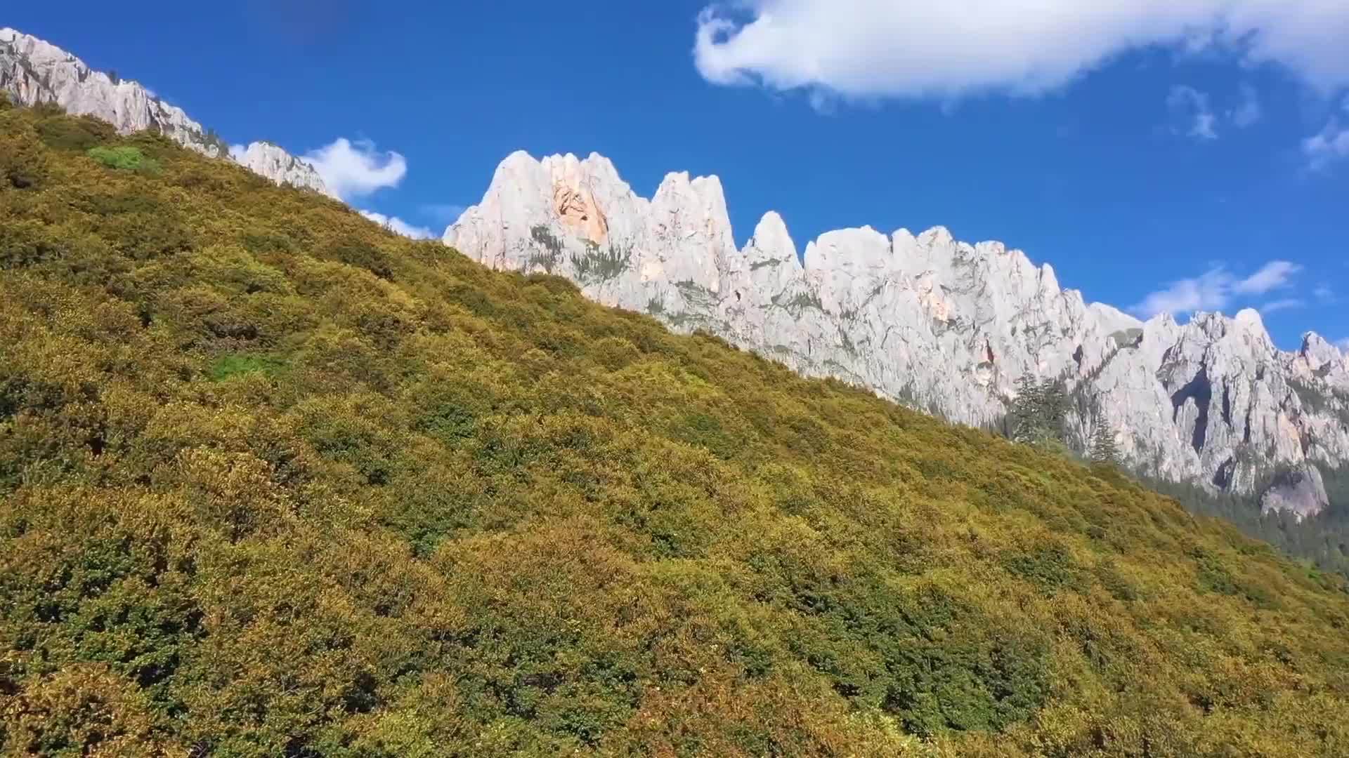 昌都：天更蓝、水更清、家园更美好……