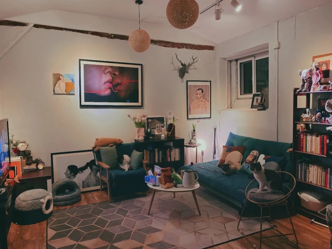 2个资深北漂女孩+6只猫的100㎡出租屋,她们把风格露营也搬进了家!