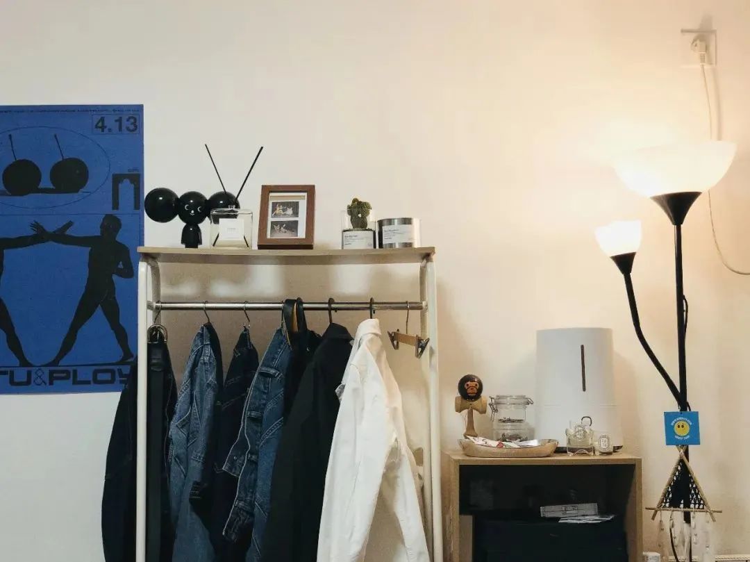 2个资深北漂女孩+6只猫的100㎡出租屋,她们把风格露营也搬进了家!