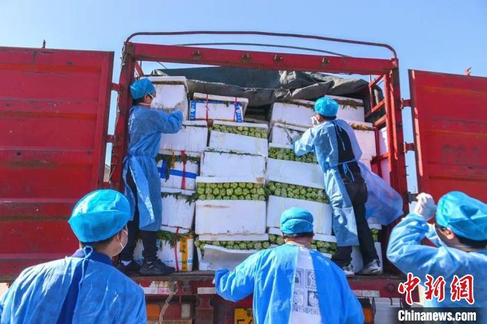 从江西田间到上海学生餐桌：28吨蔬菜的紧急24小时
