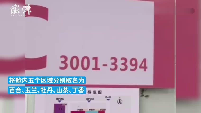 山东援沪医疗队在方舱医院“以花分区”鼓励患者