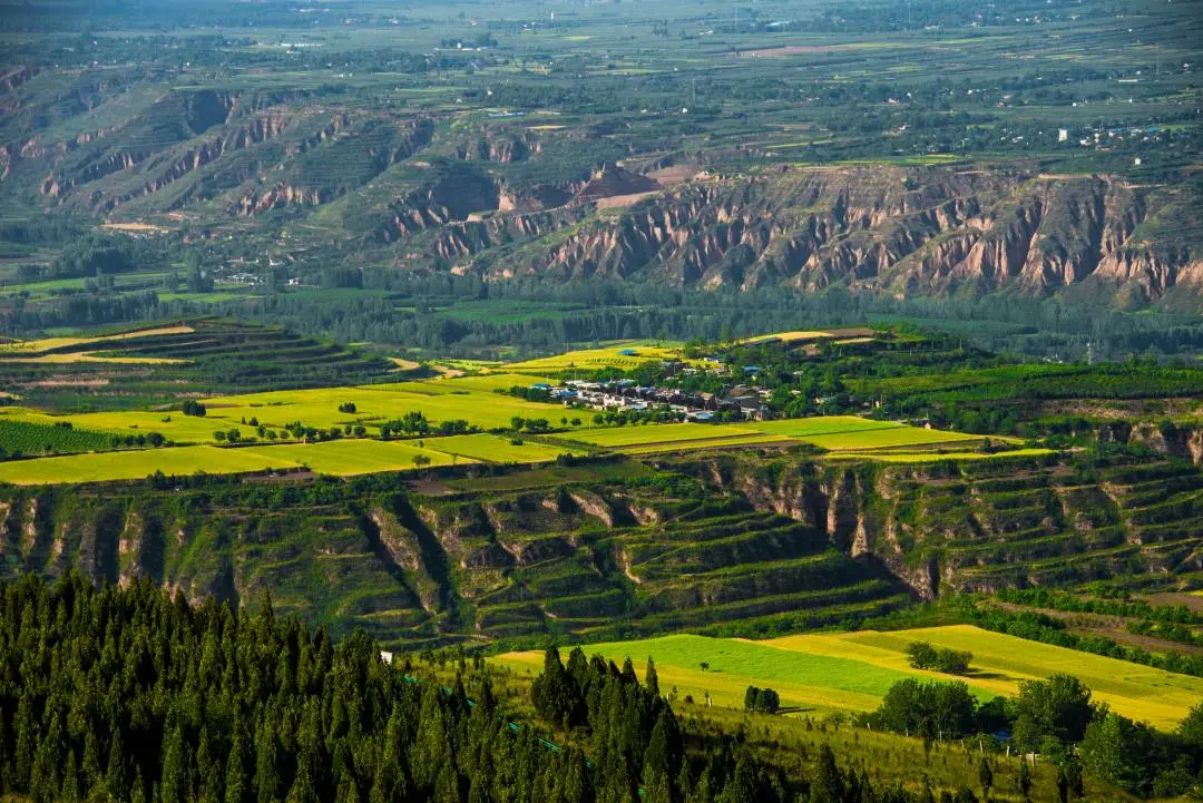 三原县:"四个扎实"纵深推进全县生态环境保护工作良好开局凤凰网陕西