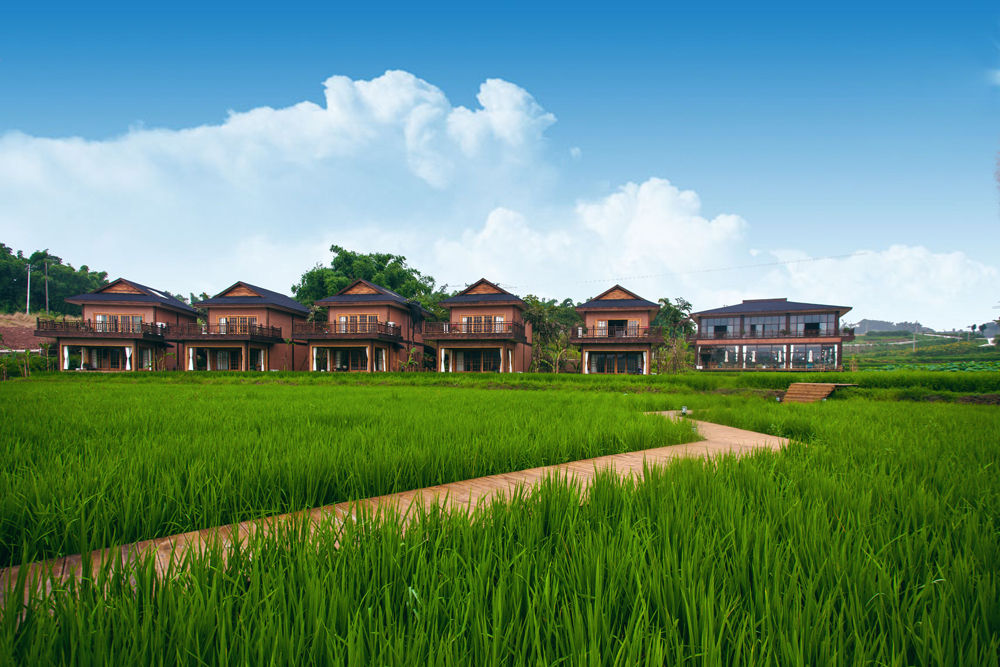 图:创丰雨仙农谷