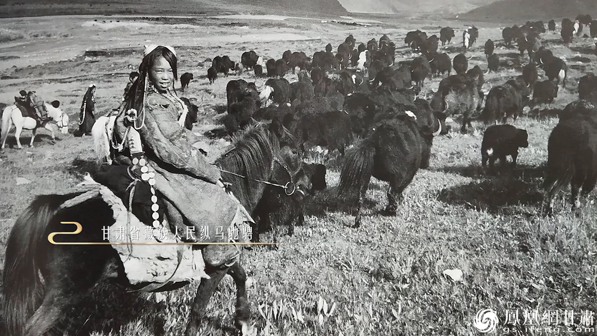 武威天祝藏族自治县牧民放牧图 武威市文体广电和旅游局供图