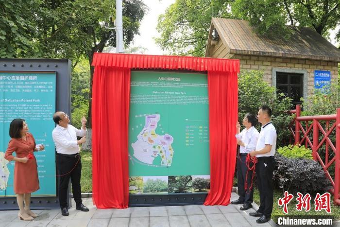 广州首个榕树公园揭牌榕树逾9000棵