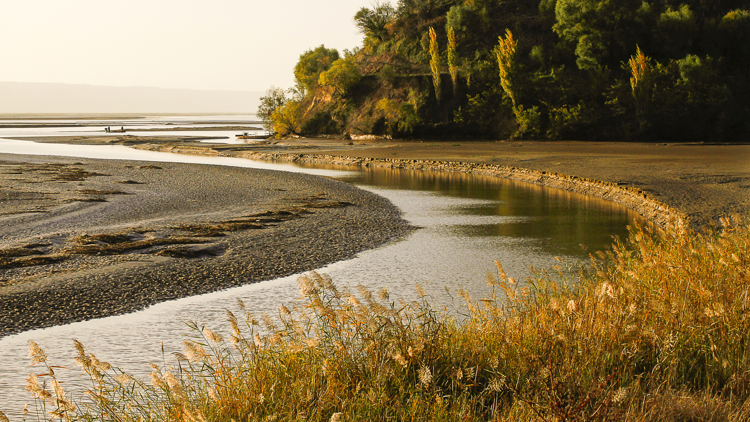 黄河湿地 岔峪古渡--张成军