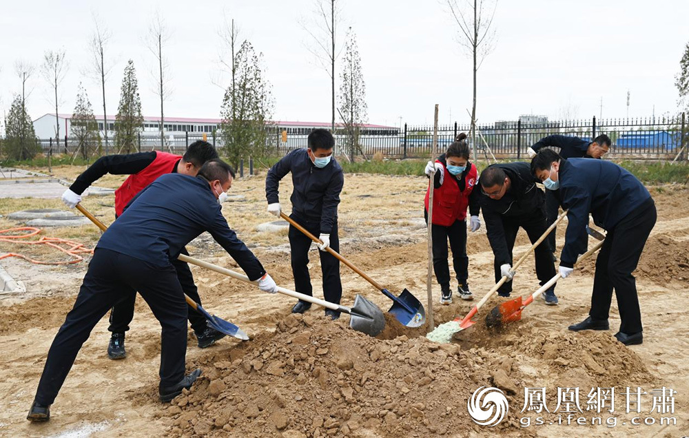 科文旅集团党委副书记、总经理杨硕(左三)和大家一起植树 兰州新区科文旅集团供图