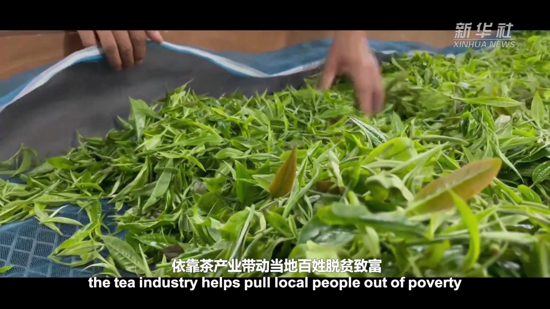 习近平时间｜携手推进国际减贫进程